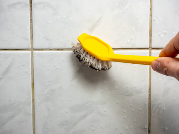 Mold Removal and Inspection in Pemberwick, CT