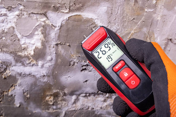Best Mold Removal and Inspection  in Pemberwick, CT